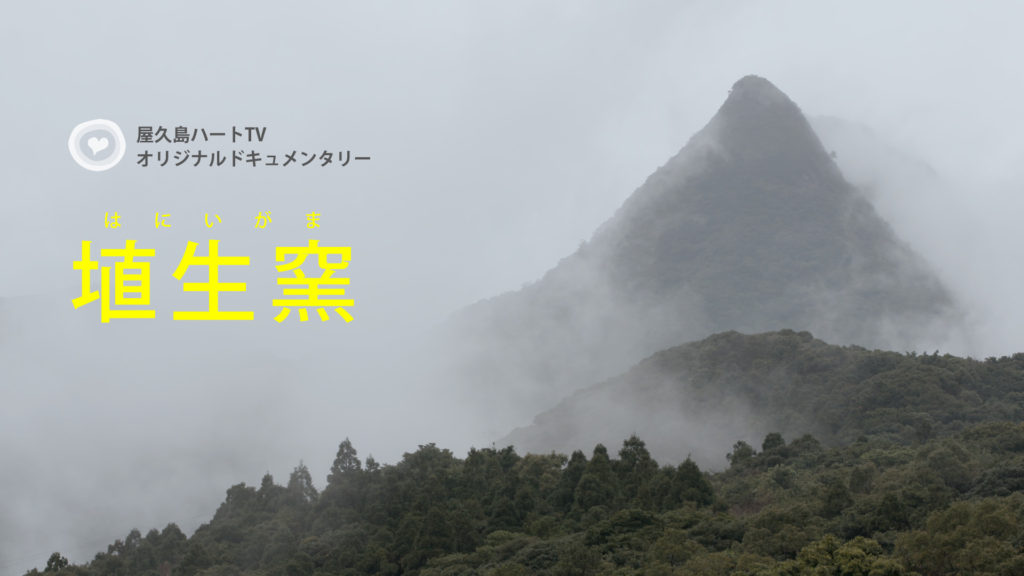 屋久島の陶芸窯 埴生窯（はにいがま）の1週間 | 屋久島ハートTV｜日本の自然、人、文化。魅力再発見の旅へ